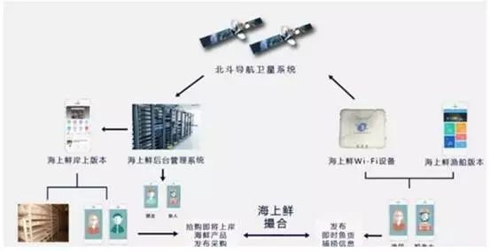 消費(fèi)升級推動海鮮市場品牌化運(yùn)營與金融服務(wù)融合（下）